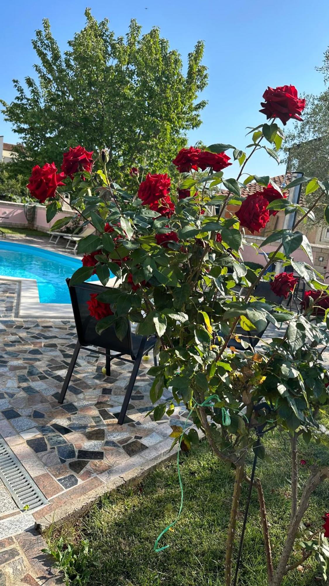 Villa Baldi -Apartmani Danny Tar-Vabriga 외부 사진