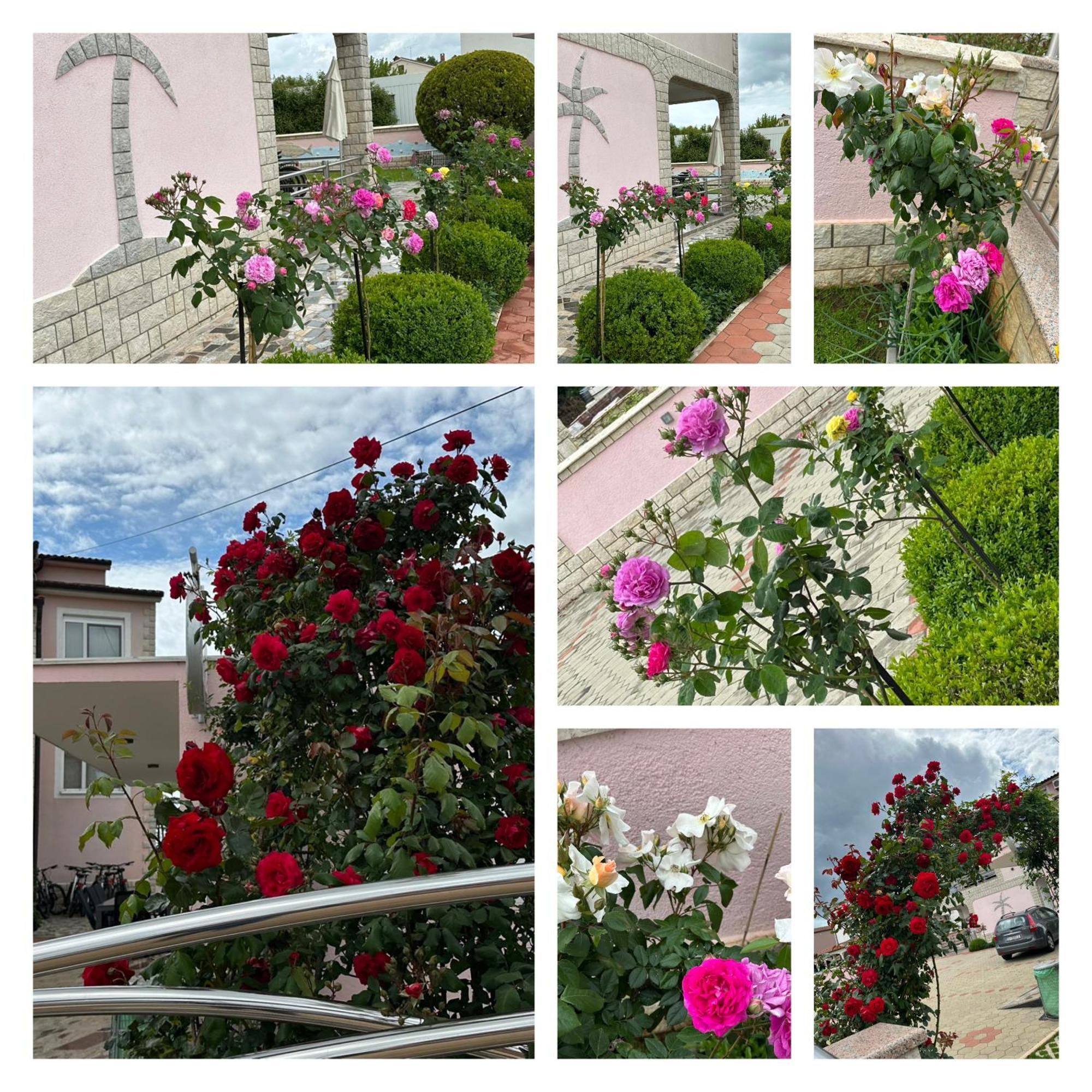 Villa Baldi -Apartmani Danny Tar-Vabriga 외부 사진