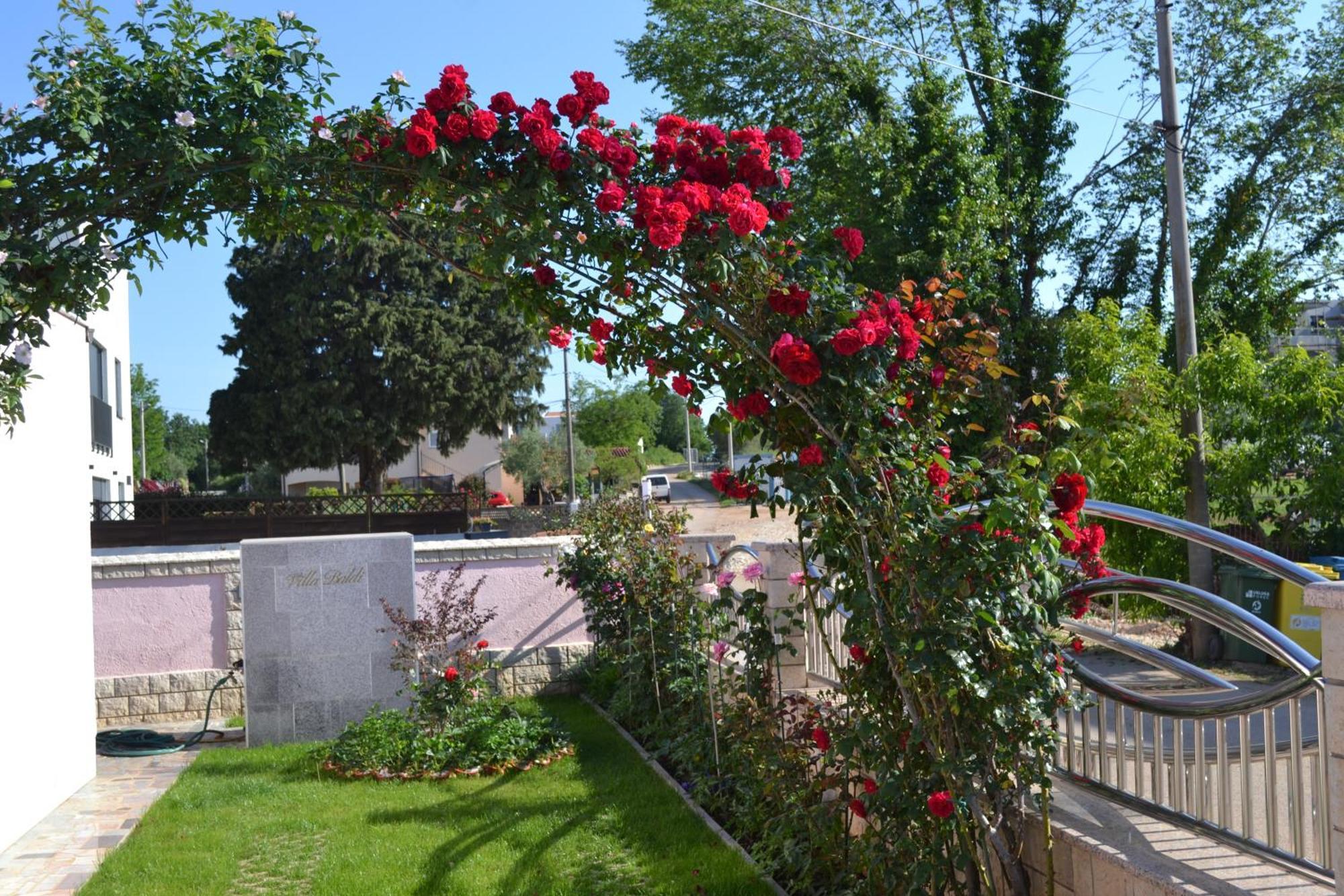 Villa Baldi -Apartmani Danny Tar-Vabriga 외부 사진